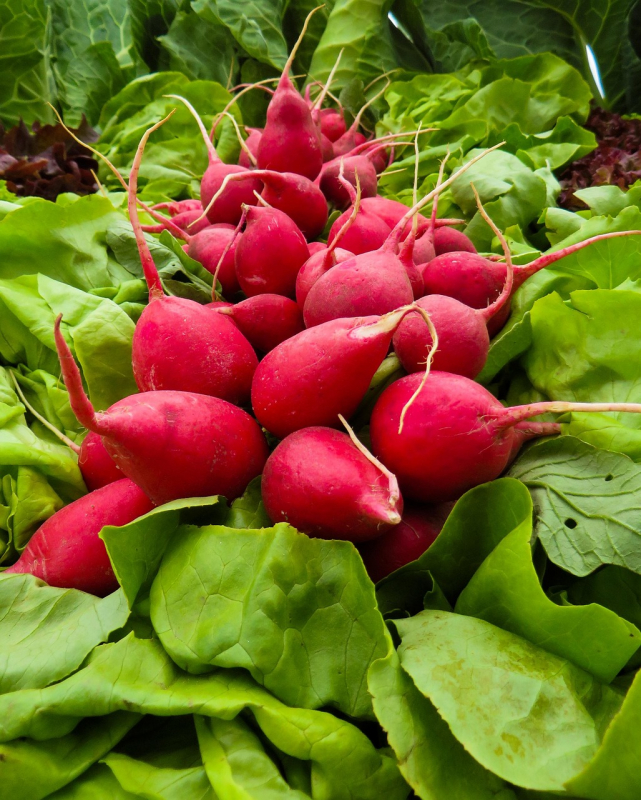 vegetables-905364_1280.jpg